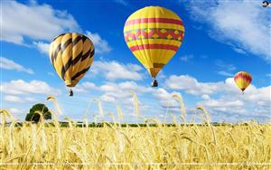 Hot Air Balloons